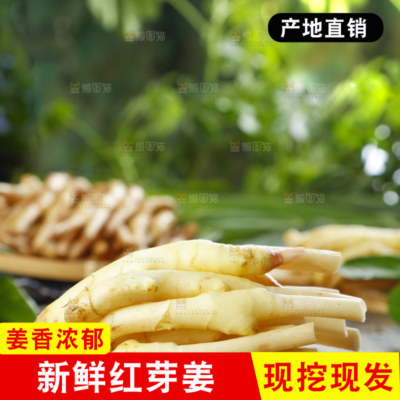 黑石板上放着红芽嫩姜