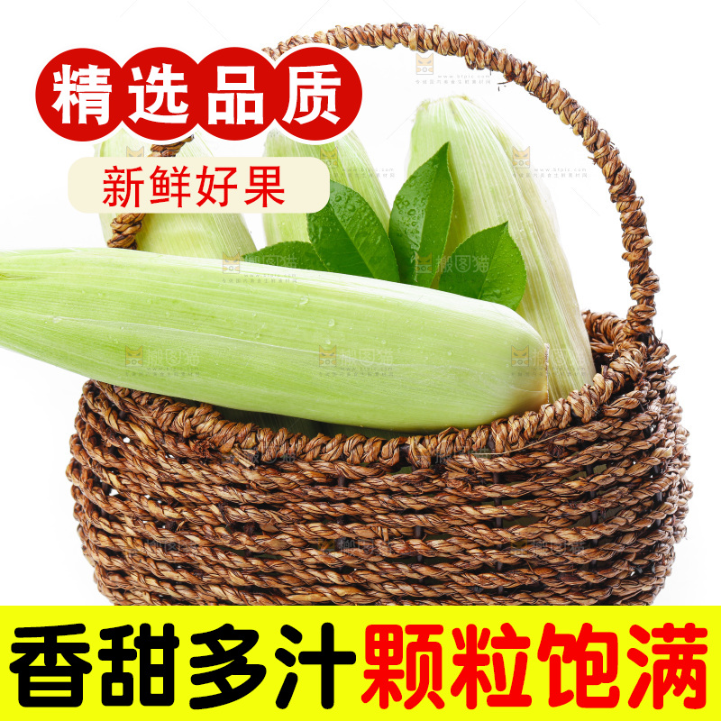 篮子子装着玉米棒
