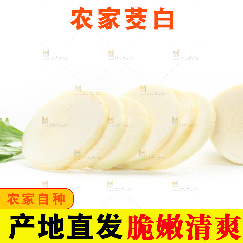白底上的茭白