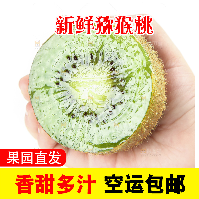 手里拿着徐香猕猴桃