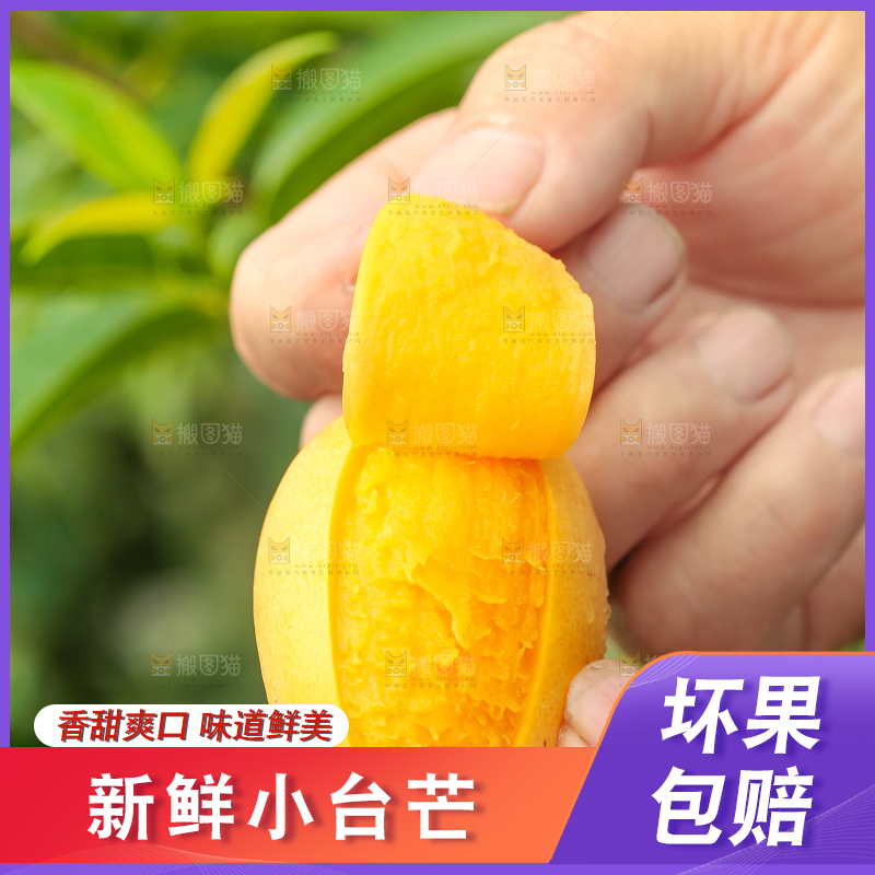 手里拿着小台农芒
