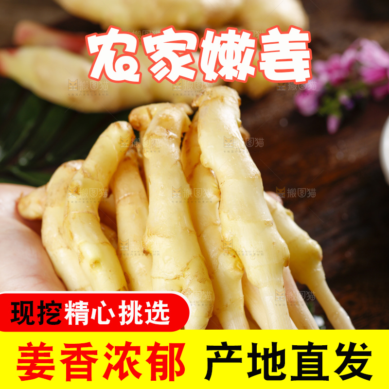 手里拿着四川生姜