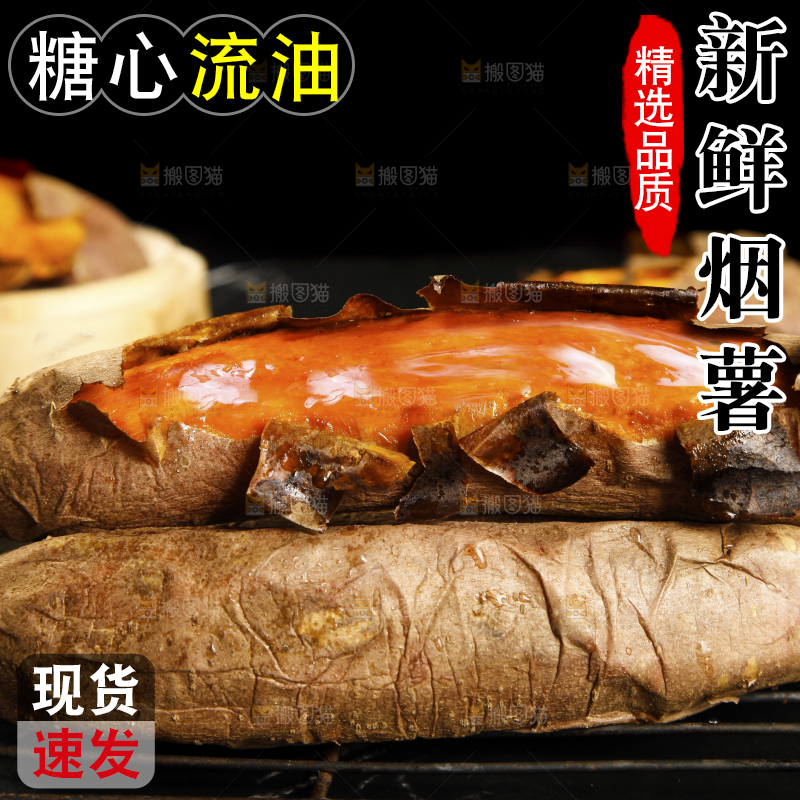 黑底上的山东烟薯