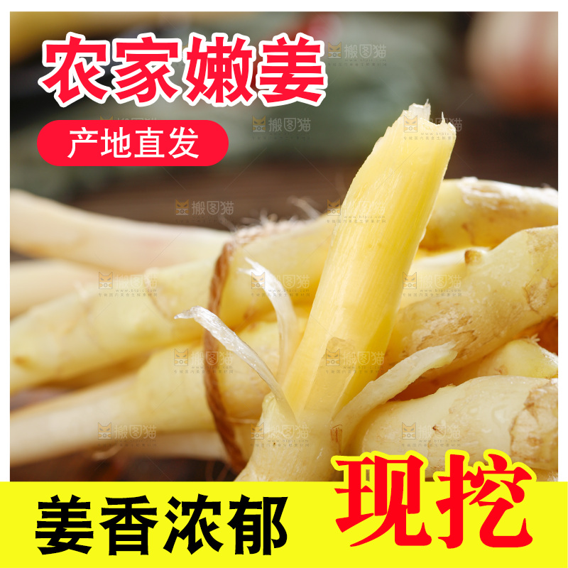 木板上放着山东嫩姜