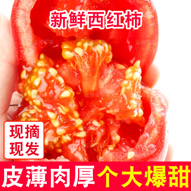 亮底上的新鲜西红柿