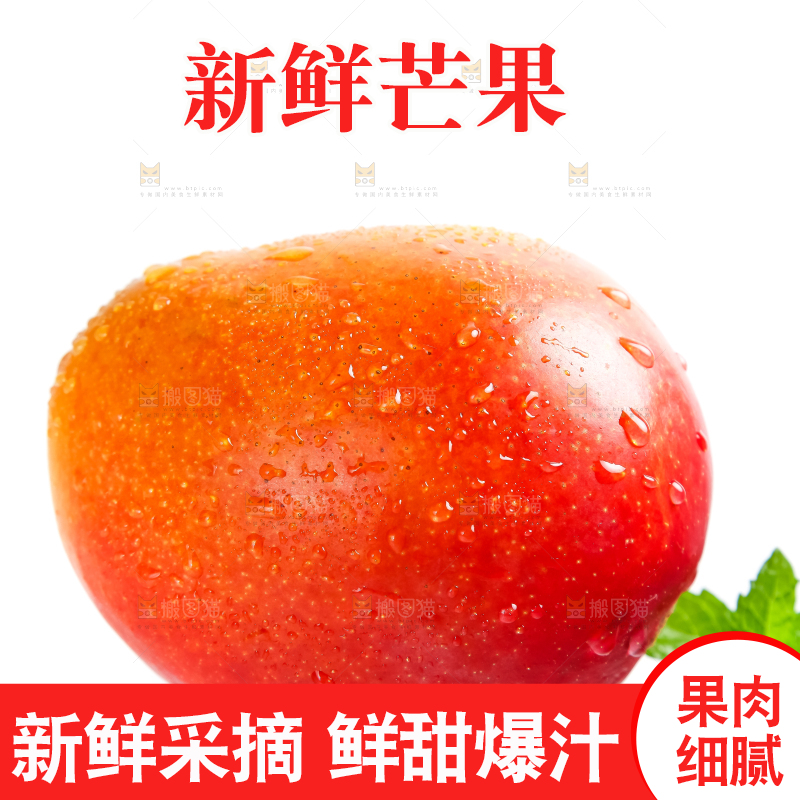 白底上放着爱文芒