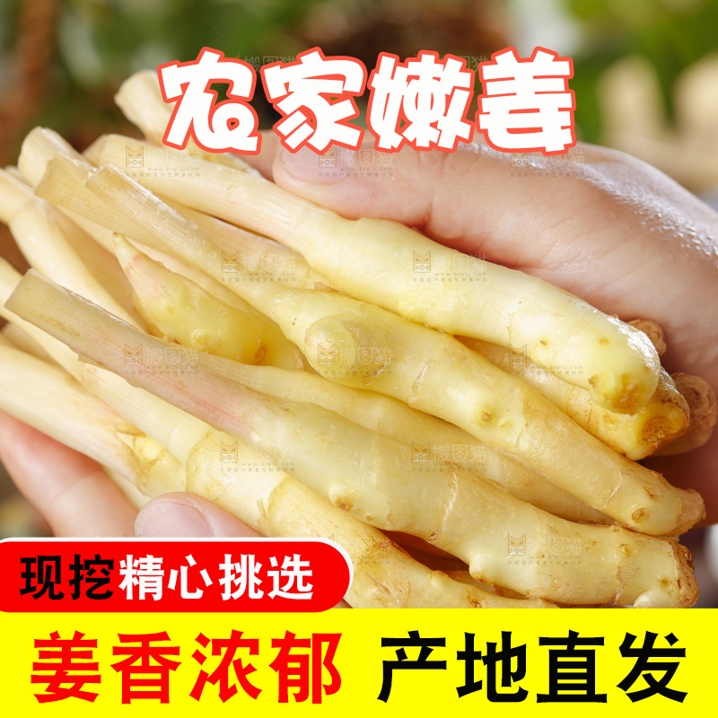 手里拿着四川生姜