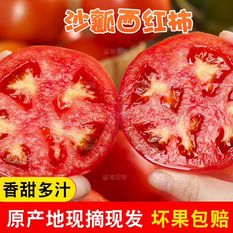 手里拿着米易沙瓤西红柿