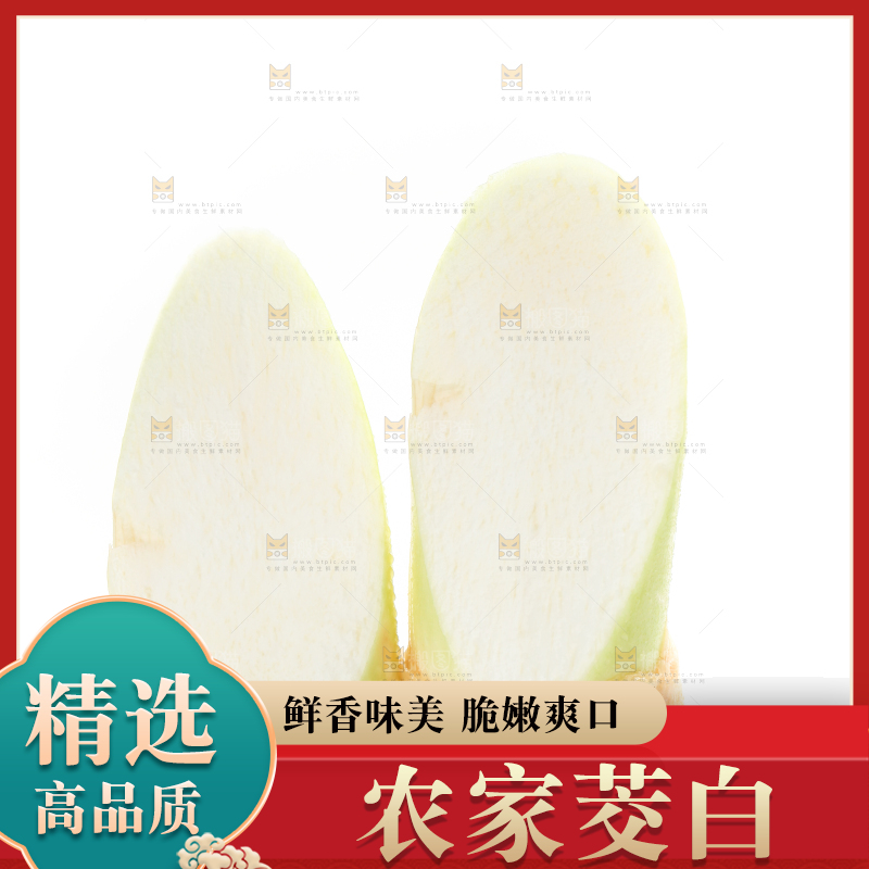 白底上的茭白