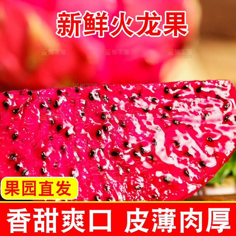 木板上放着金都一号红心火龙果