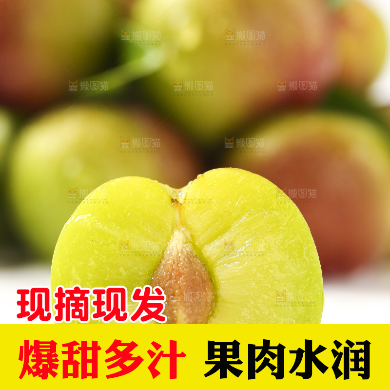 白底上摆放着新鲜李子
