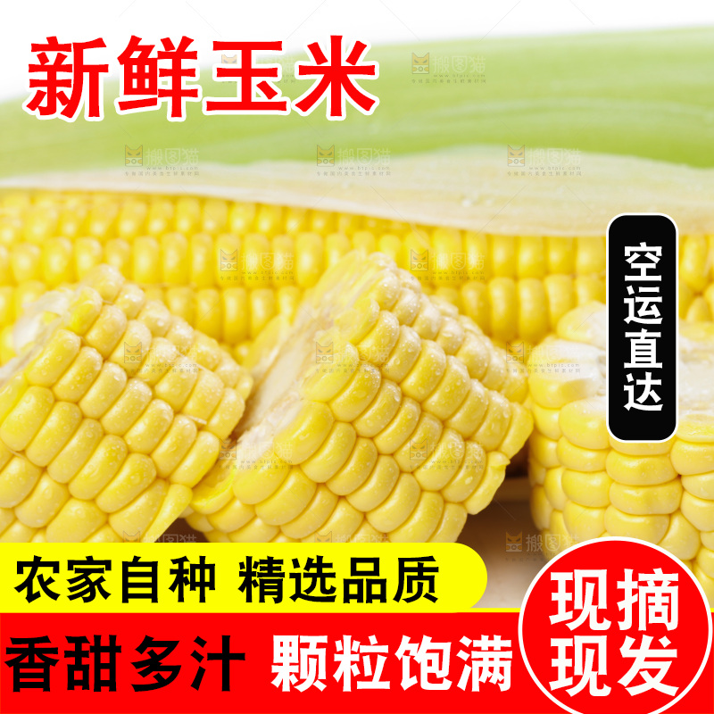 白底上放着新鲜玉米