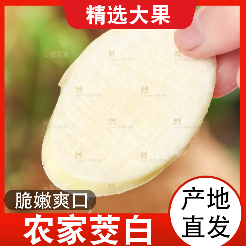 手里拿着湖北新鲜茭白