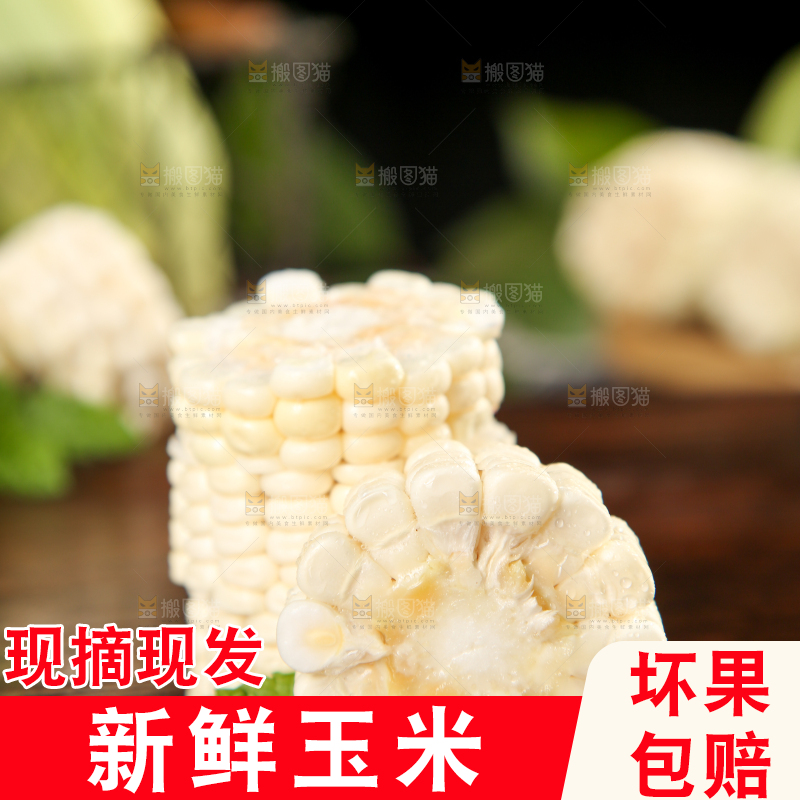 木板上的白玉米