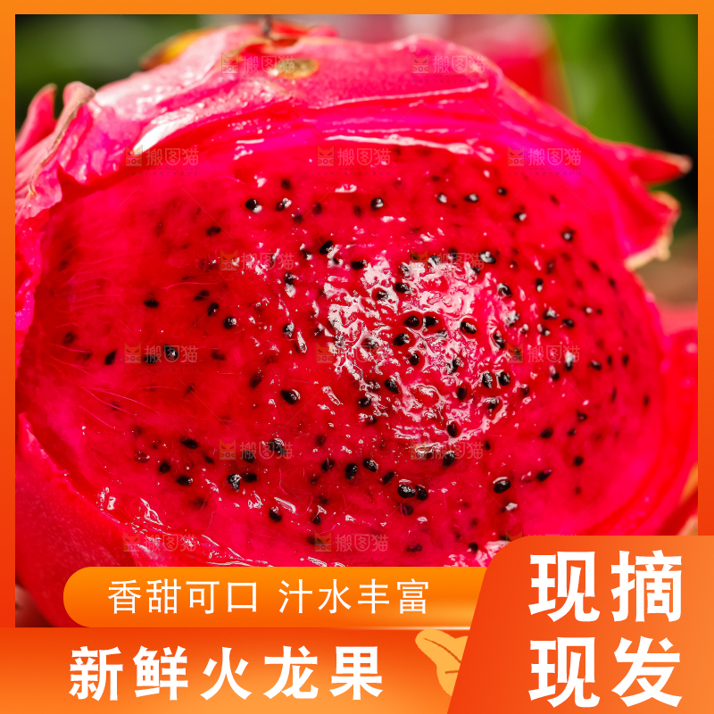 深底上的金都一号红心火龙果