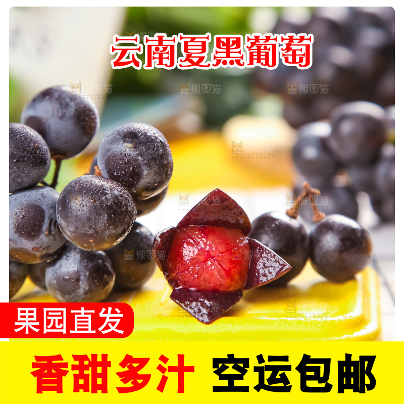 黄底上放着黑加仑葡萄