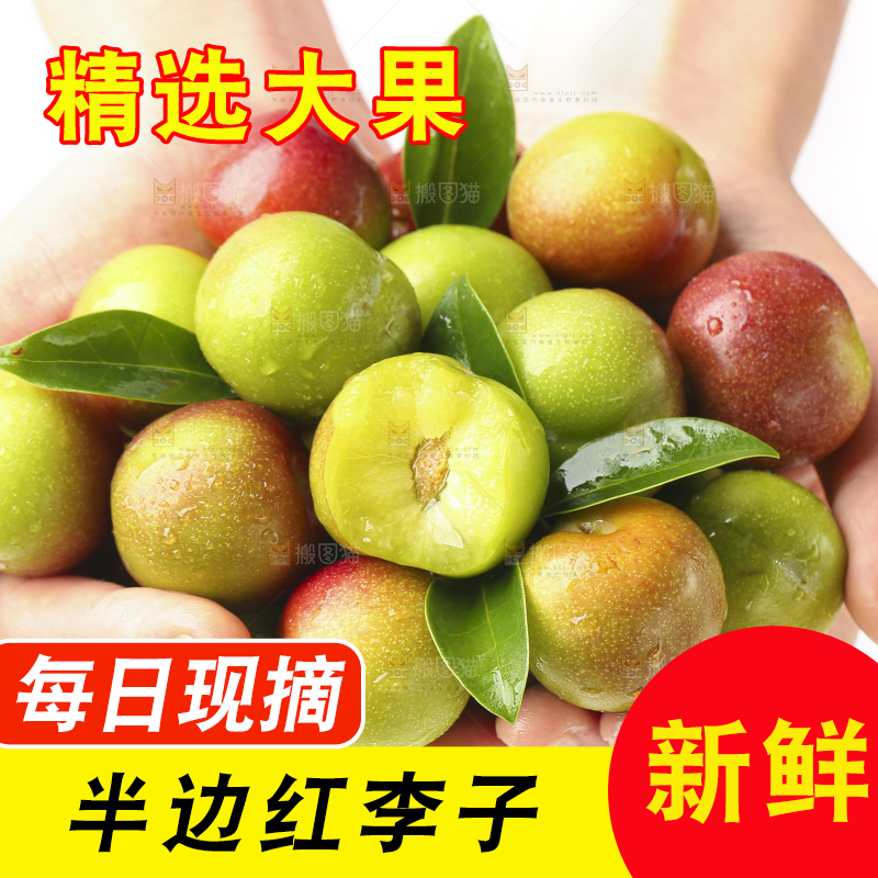 手里捧着半边红脱骨李
