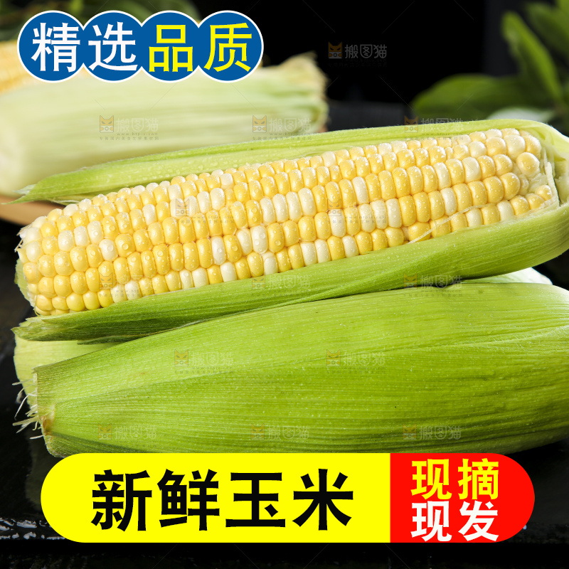黑底上的云南水果玉米