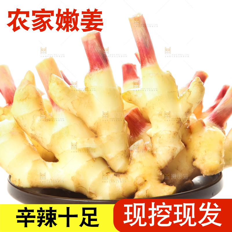 白底上的红芽嫩姜