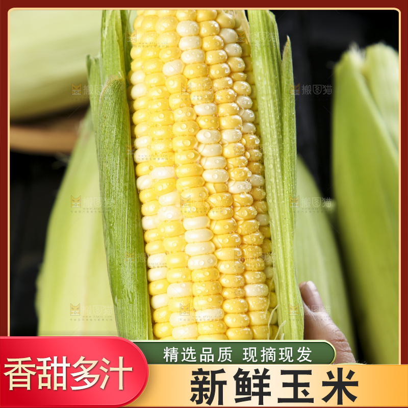 黑底上的云南水果玉米