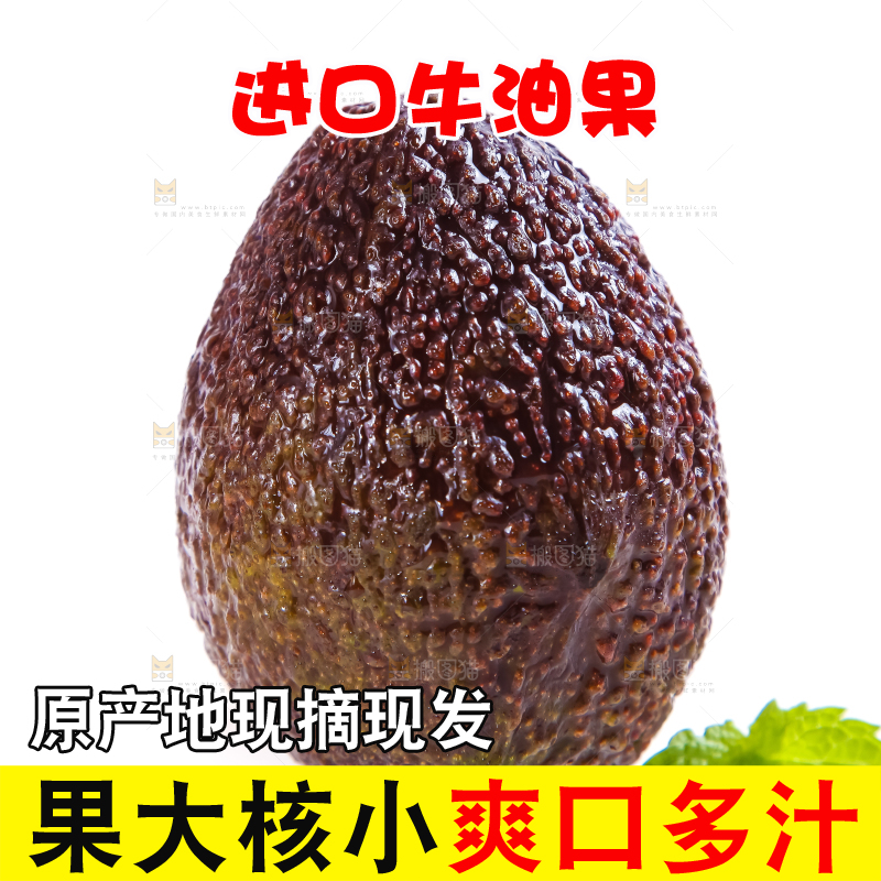 白底上的墨西哥牛油果
