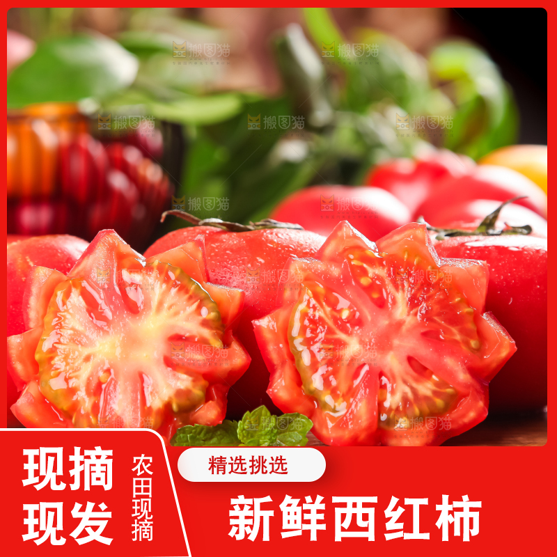 木板上的新鲜西红柿