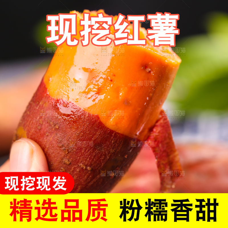 手上拿着福建六鳌蜜薯