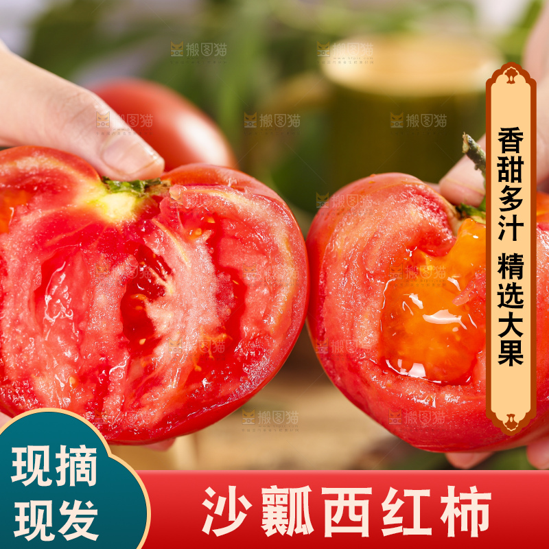手里拿着米易沙瓤西红柿
