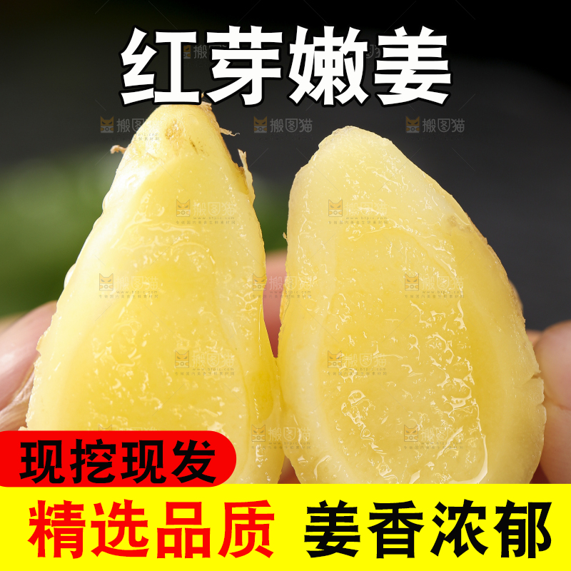 手里拿着红芽姜