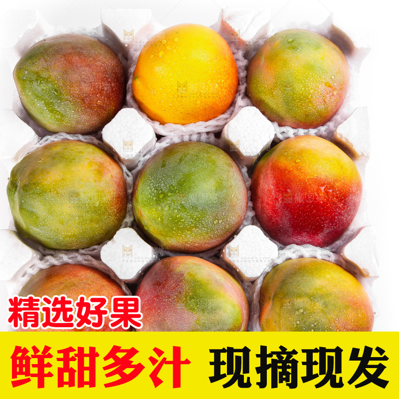 箱子里装着吉禄芒