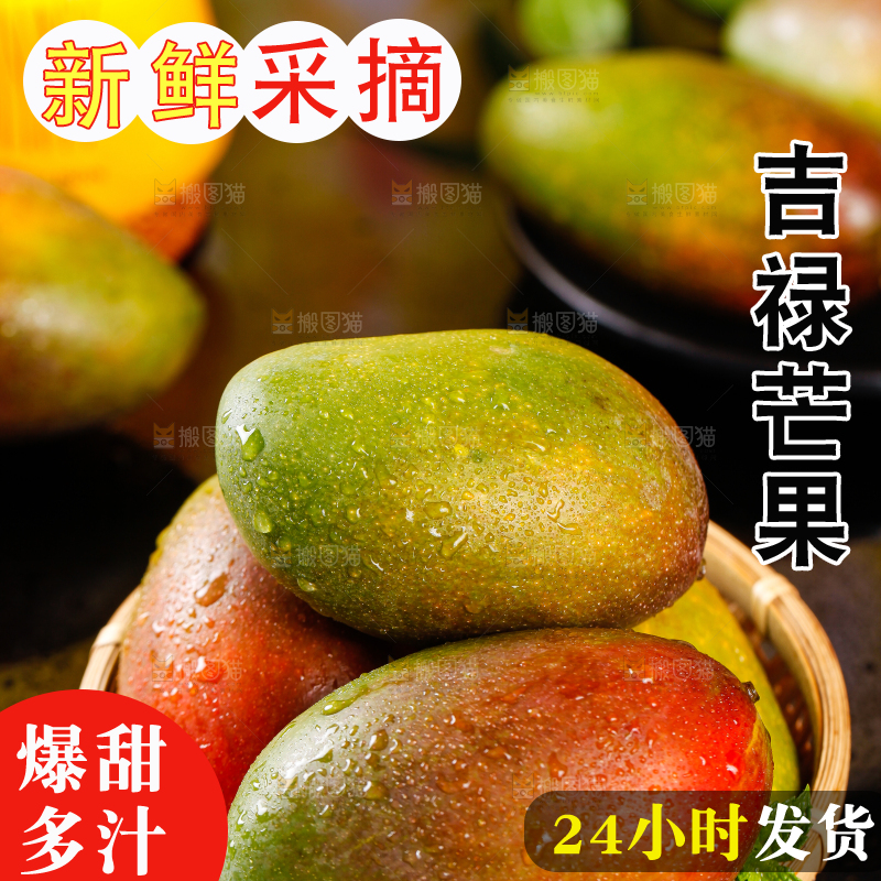 篮子里装着四川吉禄芒