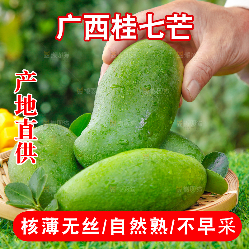 草地上放着青皮桂七芒