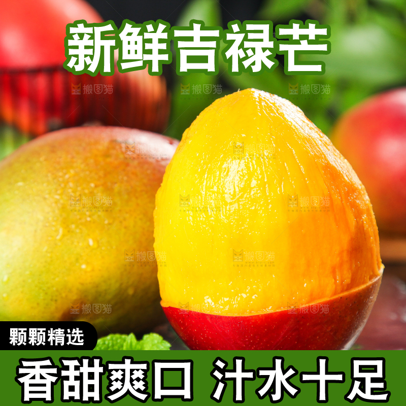 黑石板上的四川吉禄芒