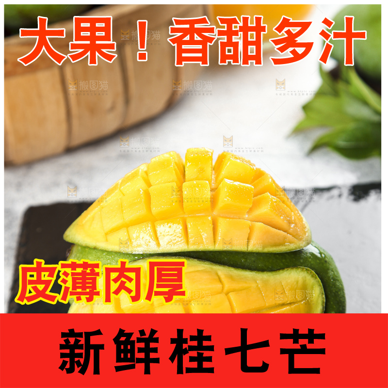 石板上的青皮桂七芒