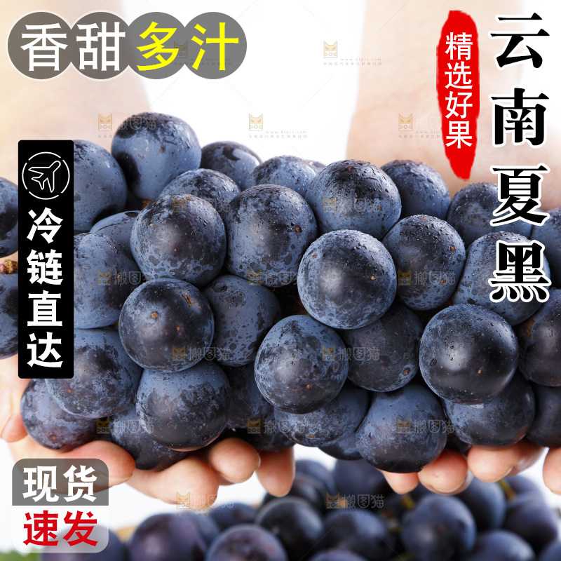 手里拿着黑加仑葡萄