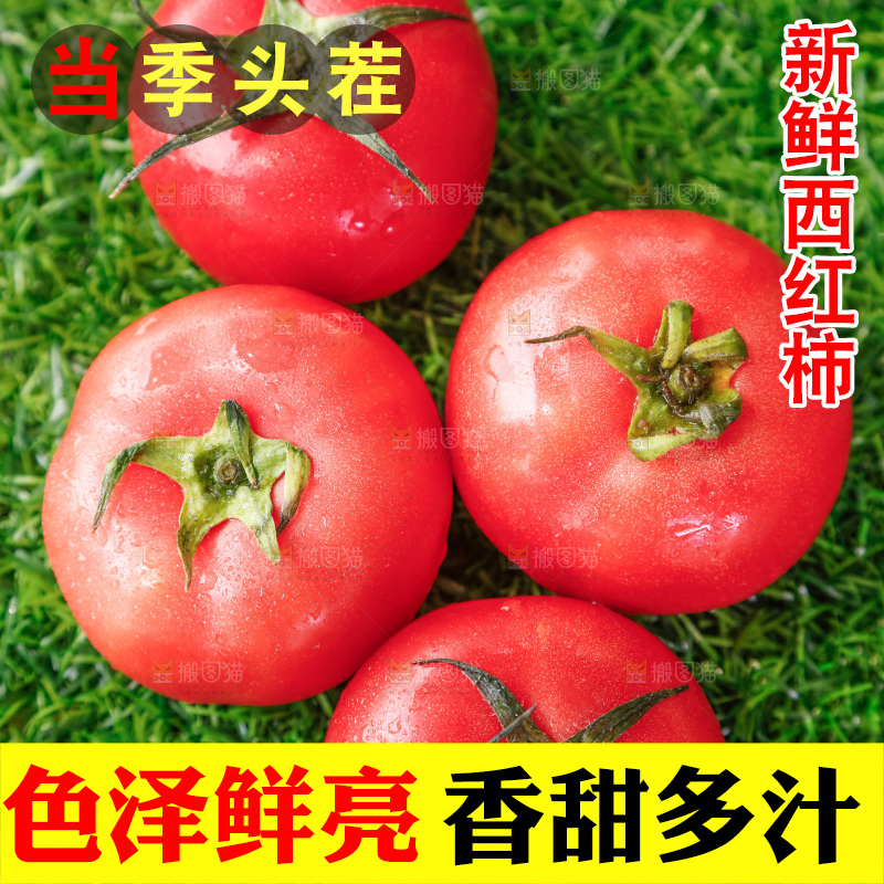 草地上的一堆新鲜西红柿