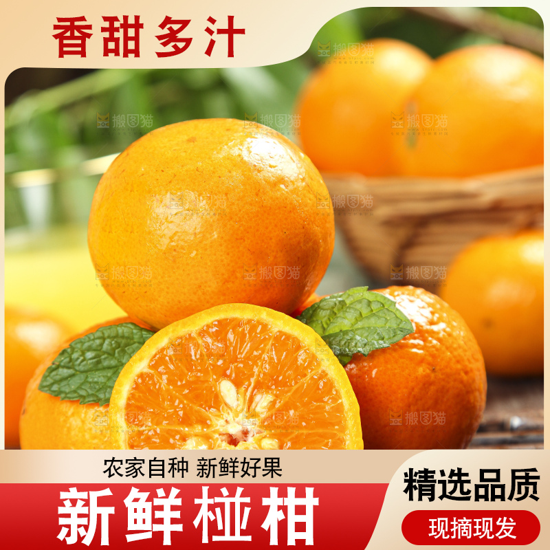 竹底上的永春芦柑