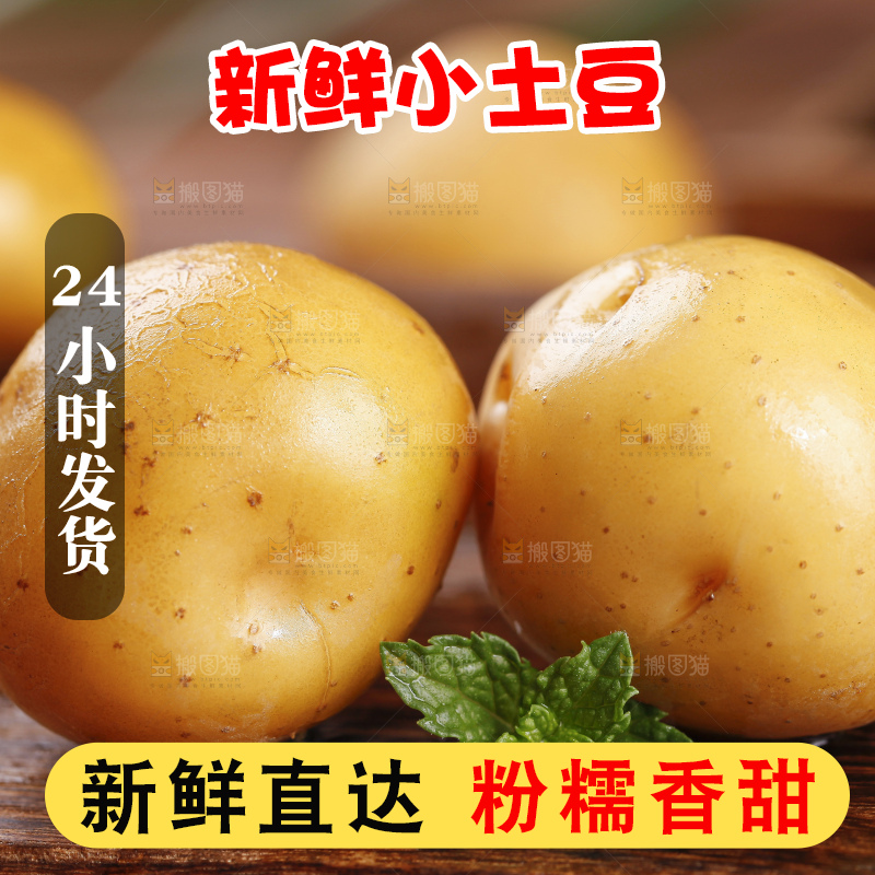 深底上的宜昌小土豆