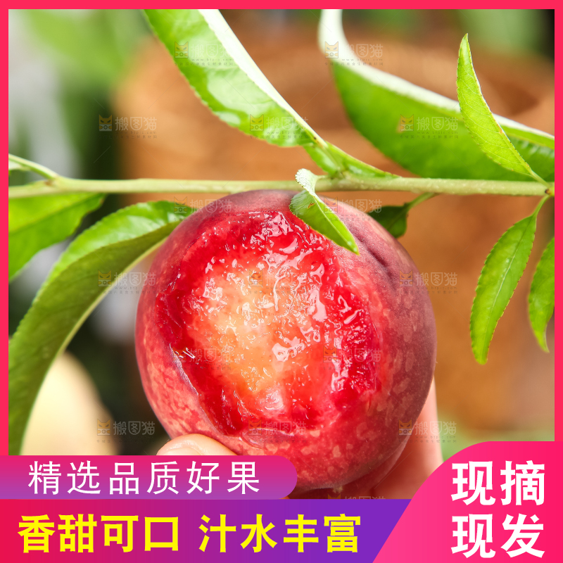 手里拿着毛桃