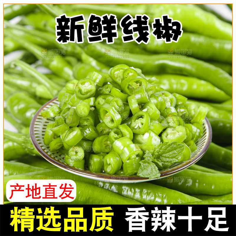 白底上的二荆条辣椒