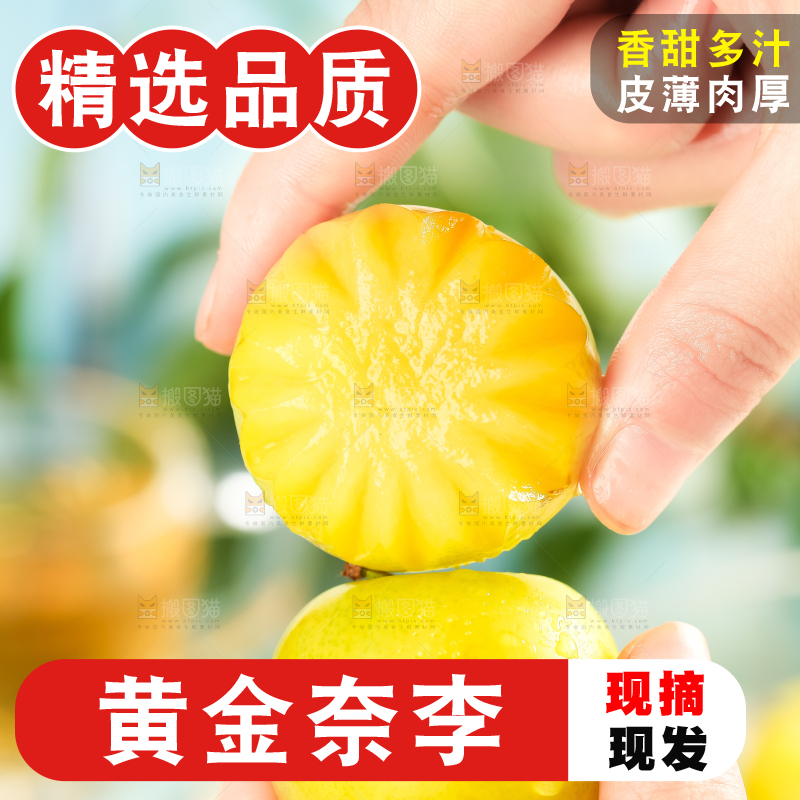 手里拿着新鲜黄金奈李