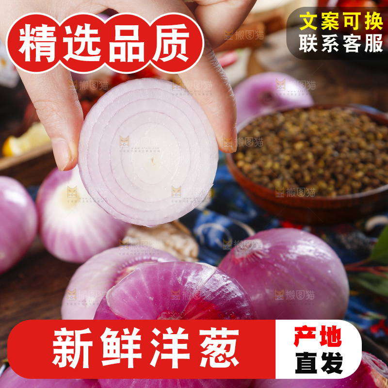 手里拿着新鲜洋葱
