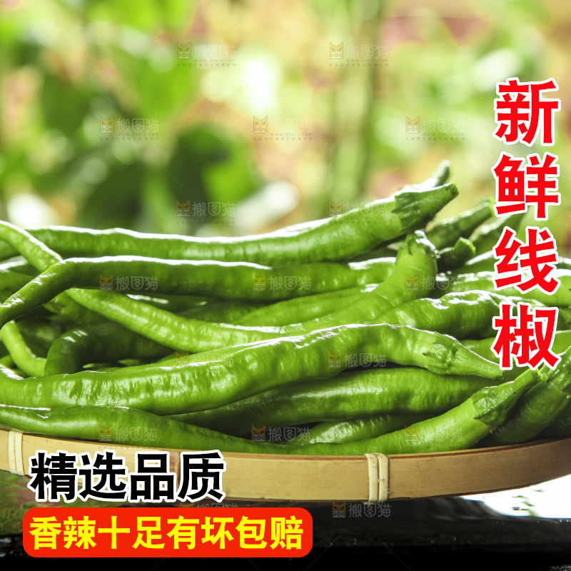 篮子里装着青线椒