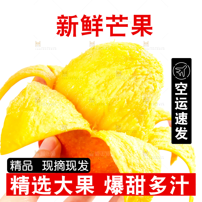 白底上的爱文芒