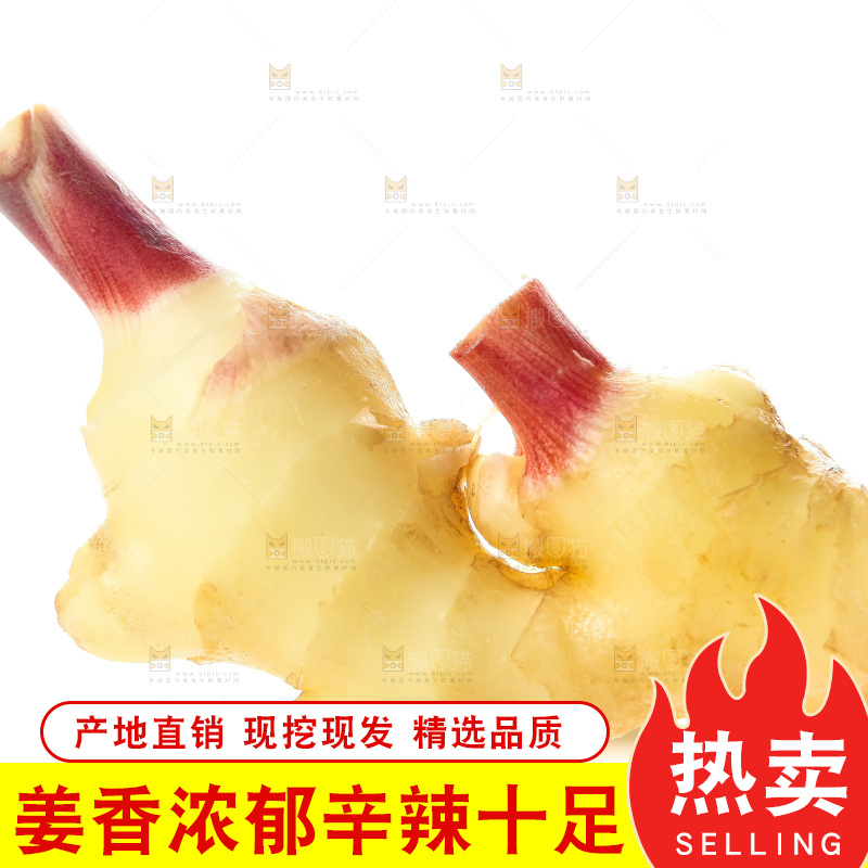 白底上的红芽嫩姜