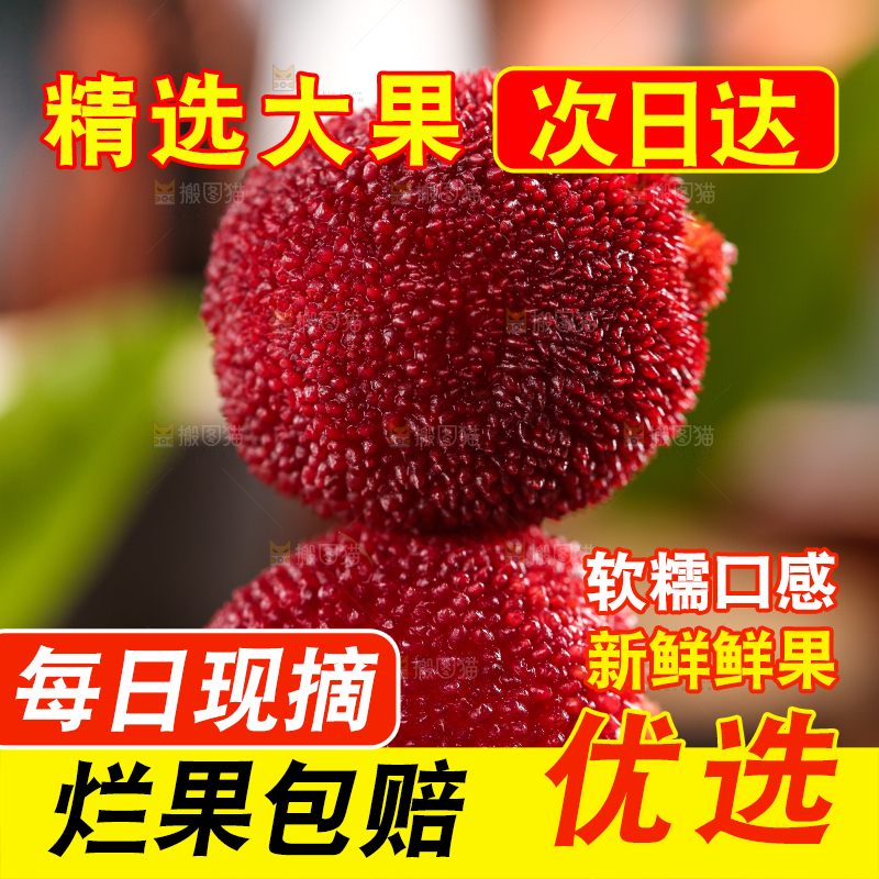 深底上放着余姚杨梅