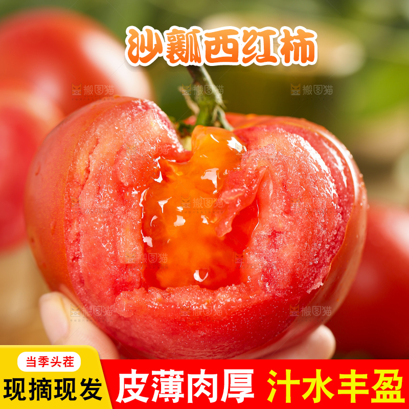 手里拿着大番茄