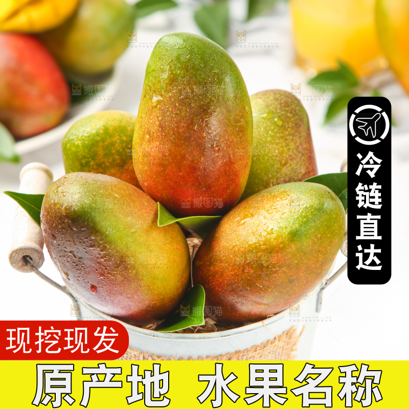 篮子里的爱文芒
