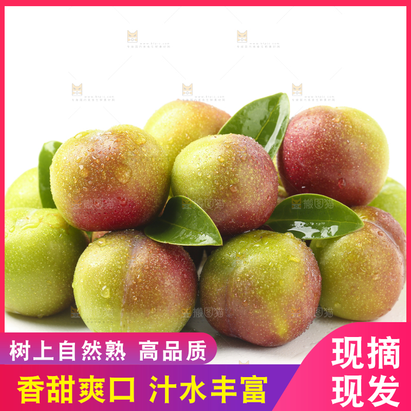 白底上的四川茵红脱骨李