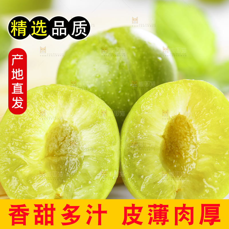 浅底上放着脱骨李